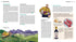 Harvest - Rebel School of Wine - Lacbleu Wines - B9780358697251 - 9780358697251